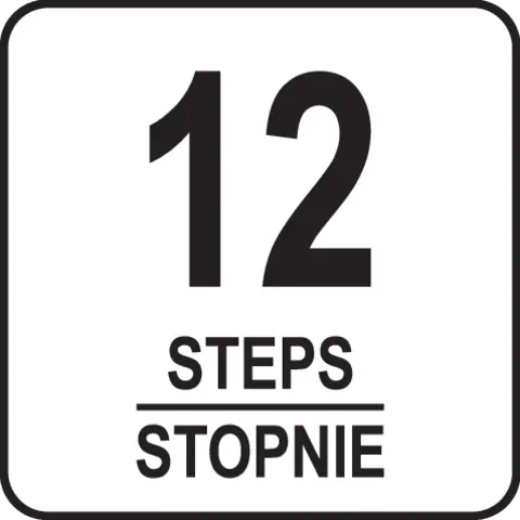12 STEPS